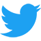the twitter logo